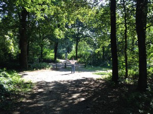 gratis loopbaanadvies man op kruispunt