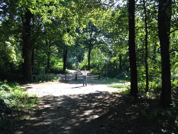 gratis loopbaanadvies man op kruispunt