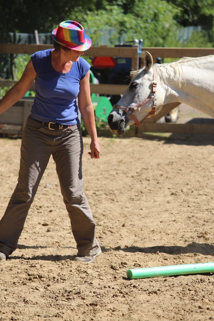 Karin de loopbaanadviseur in contact met paard en hoedje