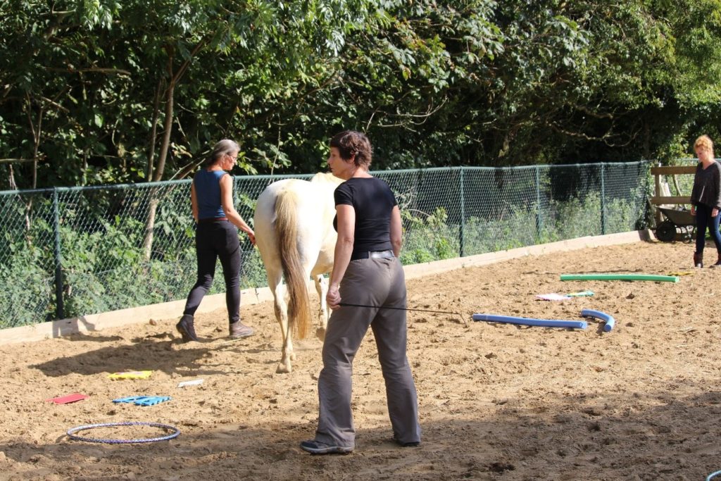 Karin in de wei met paard niet ongelukkig op het werk